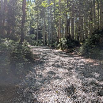 最初は歩きやすい道
