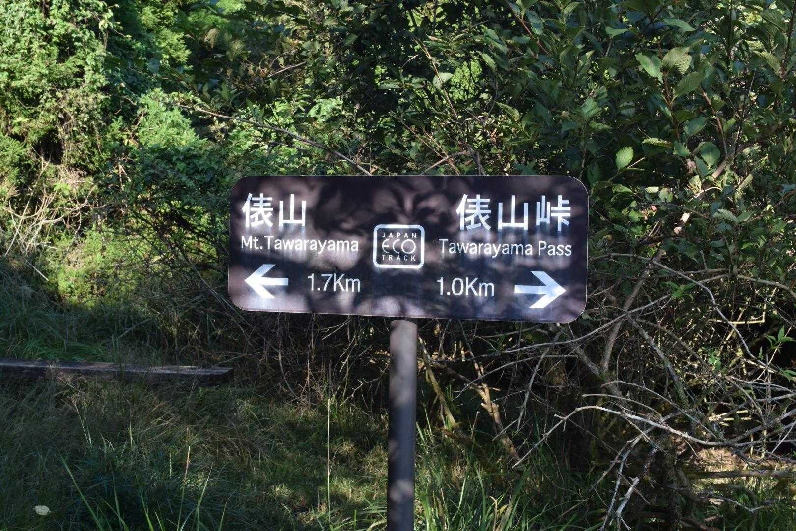 俵山往復 | 野焼きによって守られる美しい草原が魅力の爽やかハイキングコースの写真