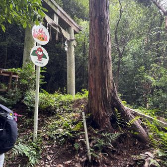 いつもの登山口　
今朝はガスが出てて家🏠から牛松山や愛宕山が見えなかった！