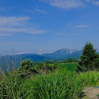 山頂に通じる道路を登ればこの景色✨
真ん前に伊吹山が、でーん⛰️

この道路は、日曜以外工事しているらしく、通行止め時間帯があるようです。
日曜は、いつでも通れます。よかった〜😊