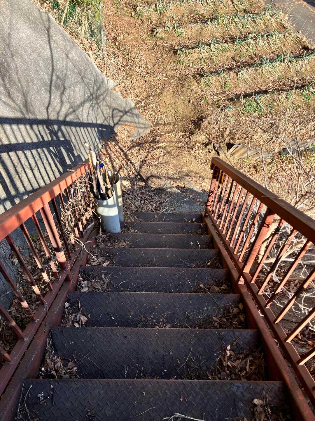 登山口まで下りて来ましたー