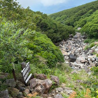 この辺りから岩岩した道。歩きやすくなくなりました