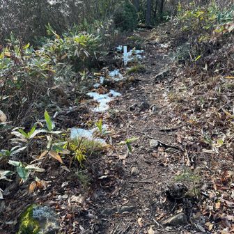 佐摩山から先は先日の寒波の雪が少し残ってました。