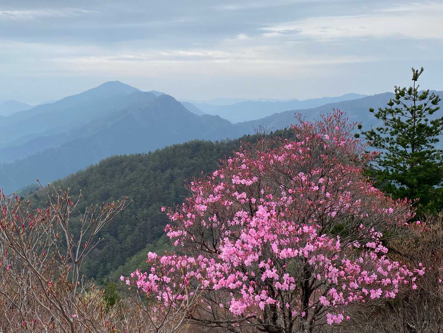 県境の山々