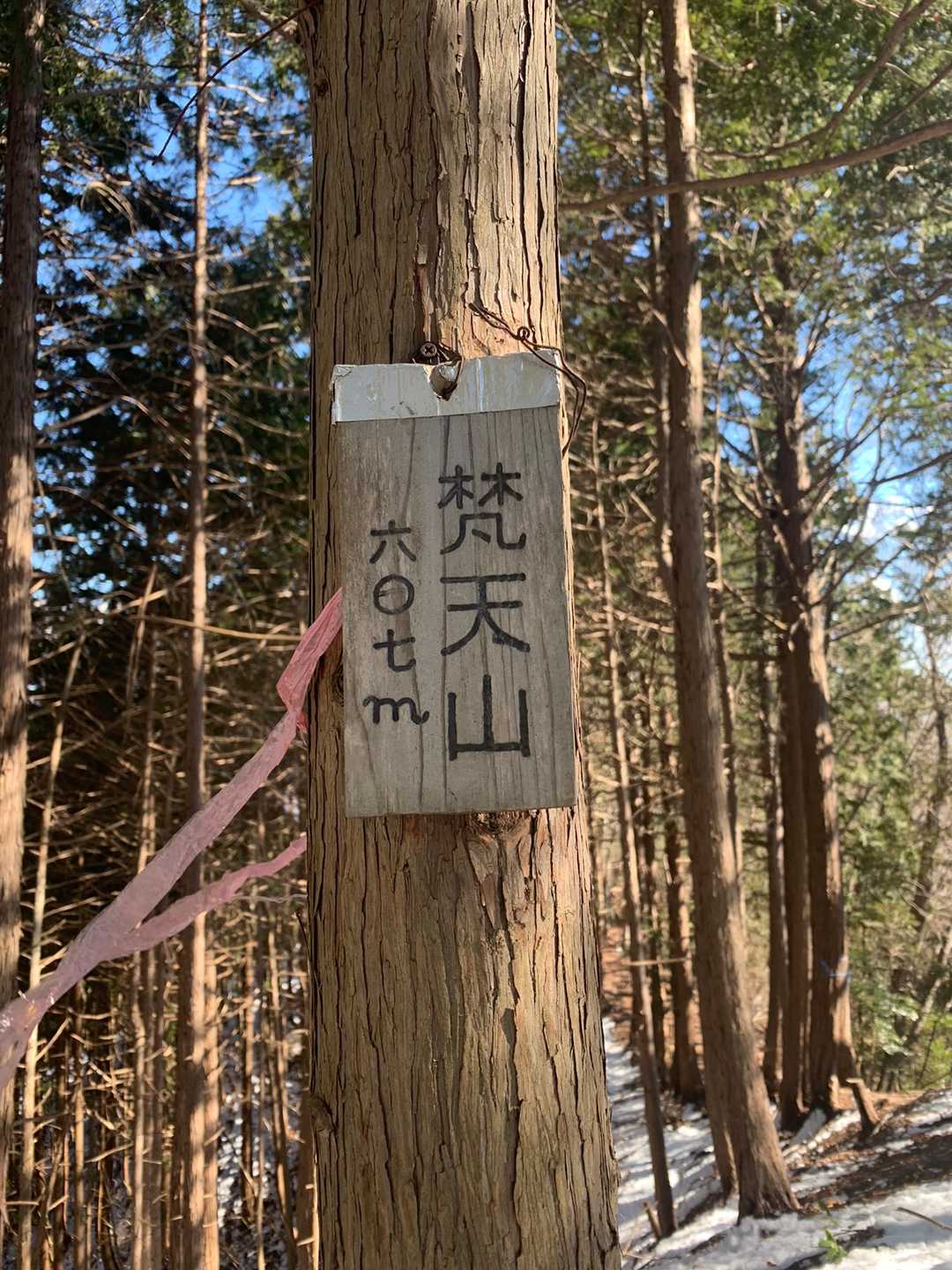 こちらにもありました
