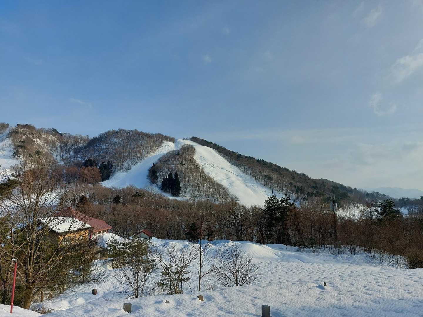 キゴ山