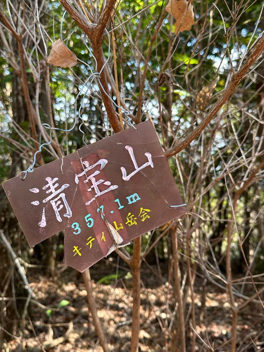 お馴染みキティ山岳会の🪧