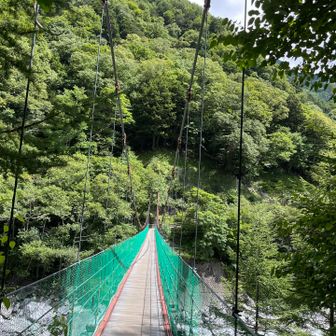 広河原に無事帰還
途中、転けて腕を擦りむく