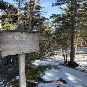 次雪が降ったらもう登るのは大変そうだな