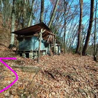 登り始めてすぐ、小屋のようなものの前をそのまままっすぐ進んでしまいましたが、間違いでした。小屋の手前を左折が正しいルートです。