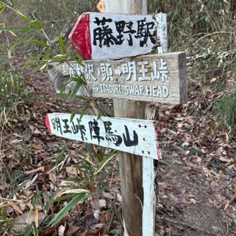 虎杖沢の頭経由で参る