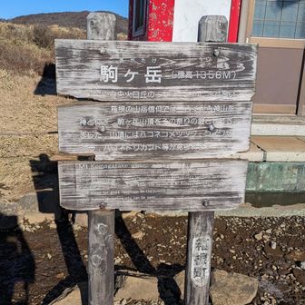 箱根駒ヶ岳山頂🙌