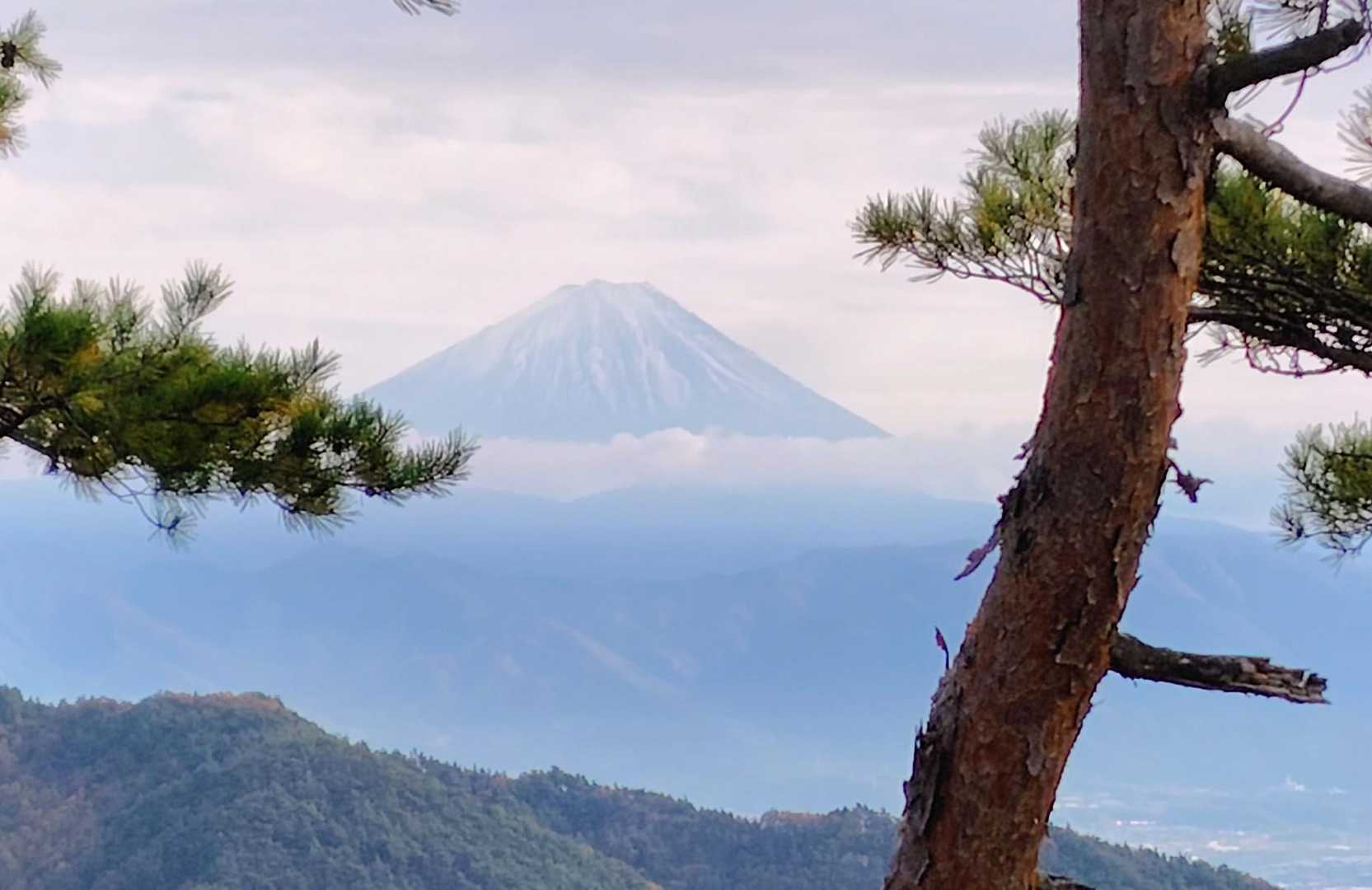 富士山も良く見えます