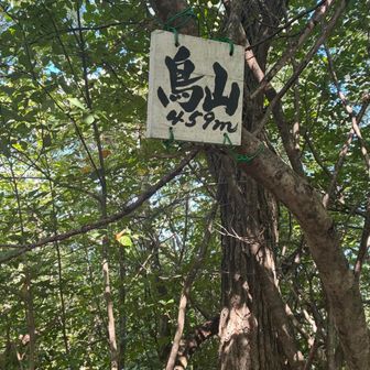 眺望なし
