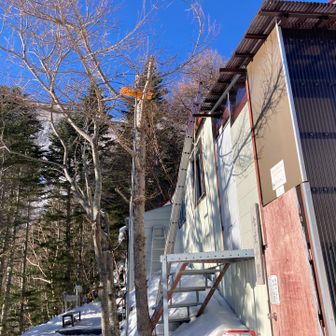 若い小屋番さんと少しお話しして下山