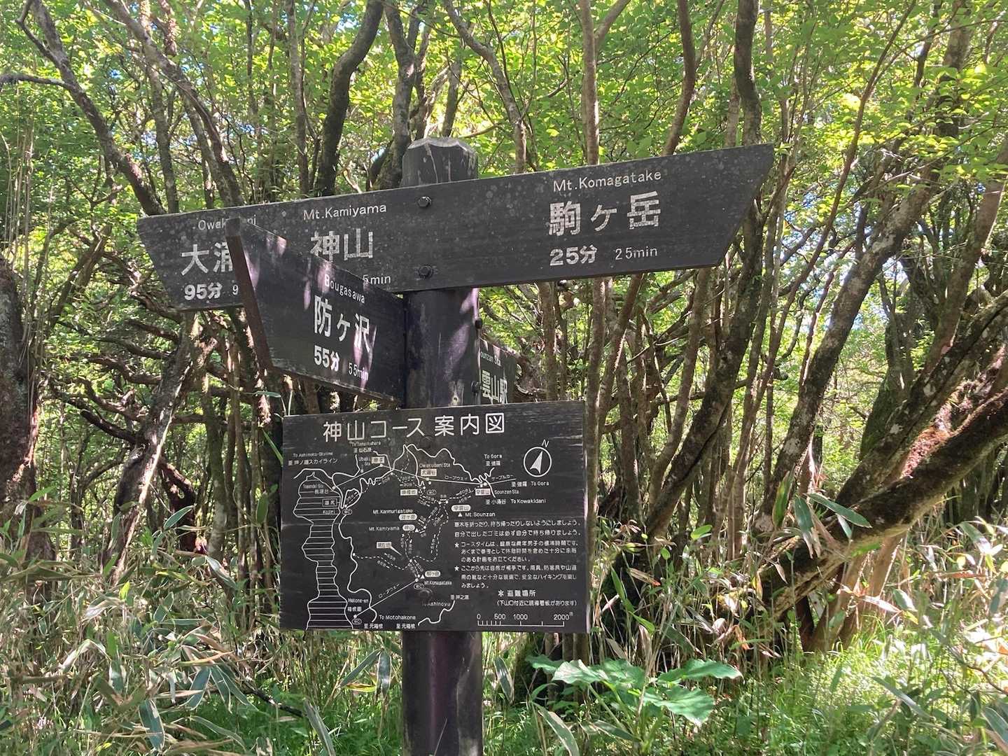 湖尻バス停-防ヶ沢登山口入口-防ヶ沢登山口-神山-箱根駒ヶ 往復コースの写真