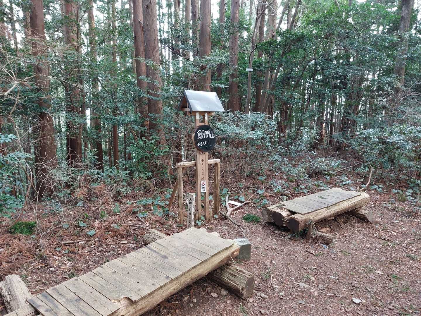 飯間山４８１m
今回の最高峰です！
なにげに満観峰よりも標高が高い😲