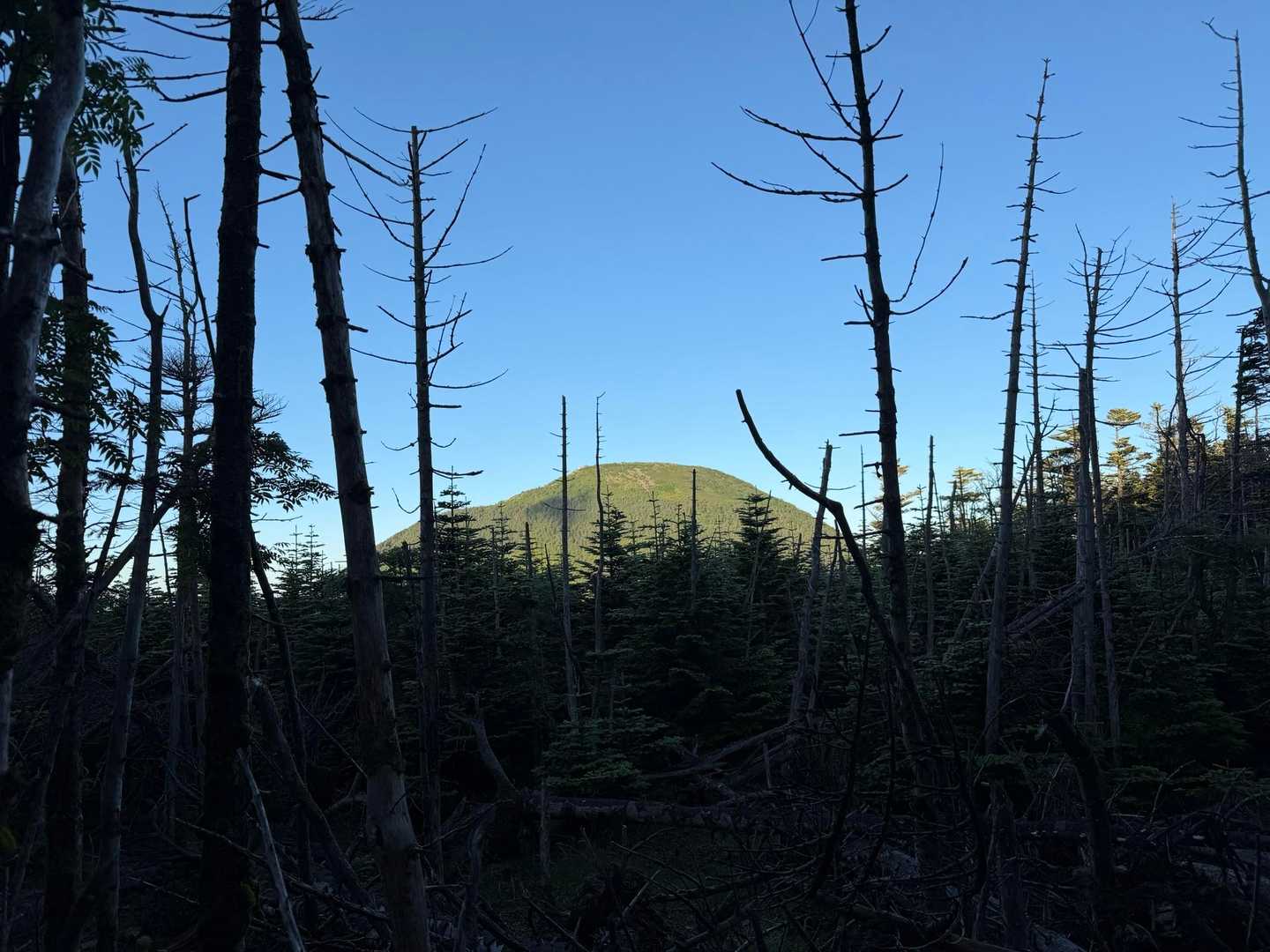 蓼科山（大河原峠）の写真