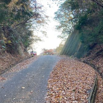 下りた💨　ただいまぁ アッコ号🚗