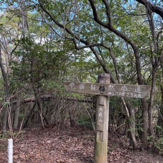 このようなビューのない山頂大好きだ
森林歩きを好む猫は日陰が大事

森林限界を超えた山に興味持てない理由を最近理解