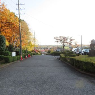 駐車場に戻ってきました。
お疲れ山♪