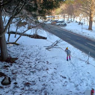 登る途中　谷側にゴロゴロと落ちましたが無事に帰って来ました。
めでたし☺️
足腰鍛えて又挑戦かな

