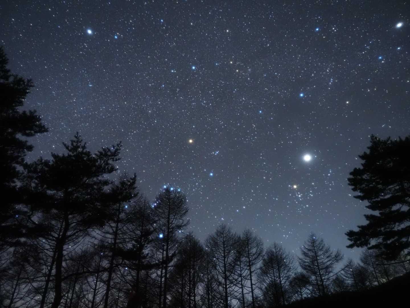 開けた場所からオリオン座