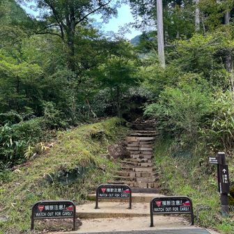 ちよっと道路渡ります