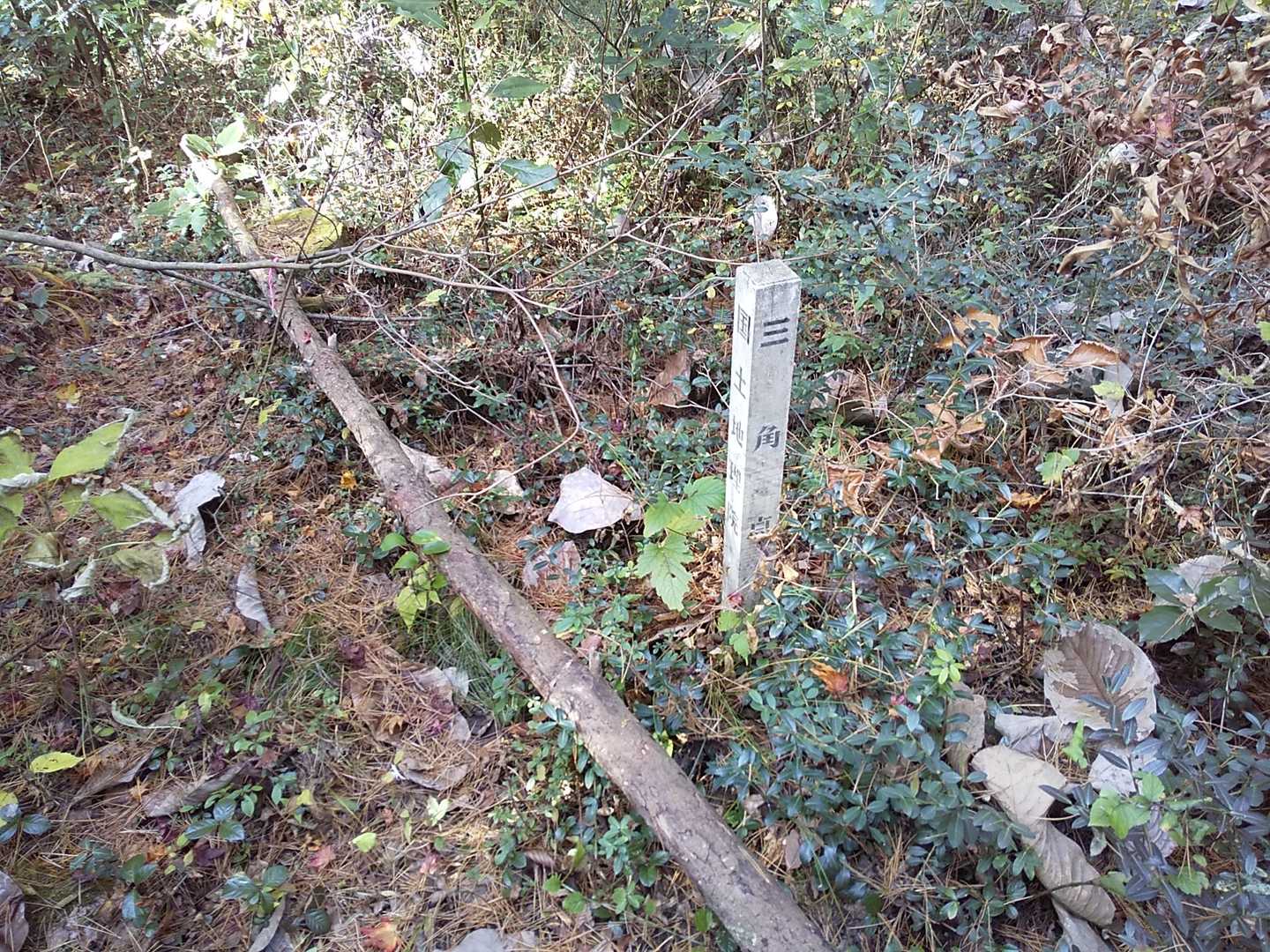 「姉取山」頂上の三角点