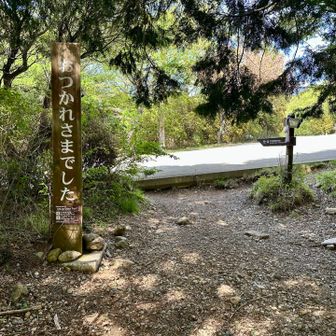 無事下山完了🙌帰りのバスまで一時間以上⏳
