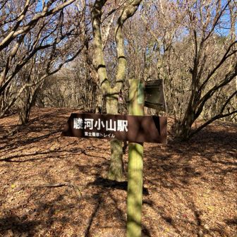 前に矢倉岳に登った時見た
ここから駅まで歩くの〜⁉︎って思った