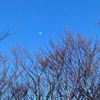 お月様も出ている