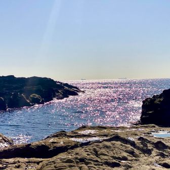 うわぁ〜  キラキラ〜✨✨全開📸