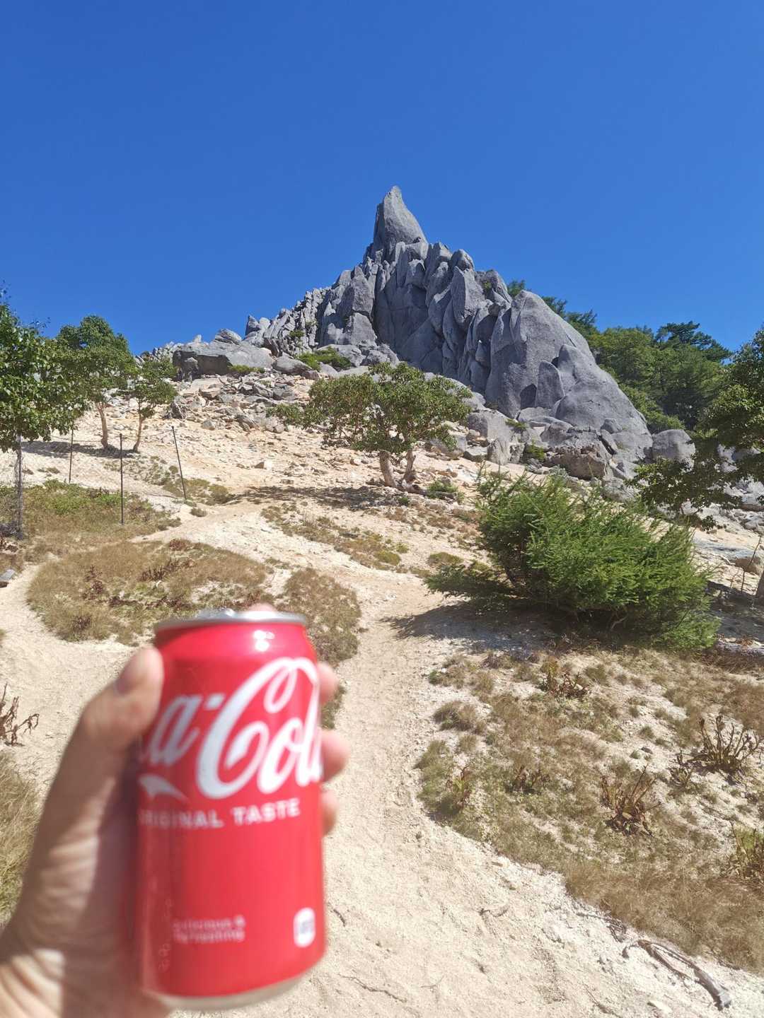 地蔵岳（鳳凰山）・赤抜沢ノ頭・観音岳（鳳凰山）・薬師岳（鳳凰山） / 三百人長リックドムさんの鳳凰山・地蔵岳・観音岳・薬師岳の活動データ ...