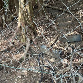 道無き道を小富士山目指して