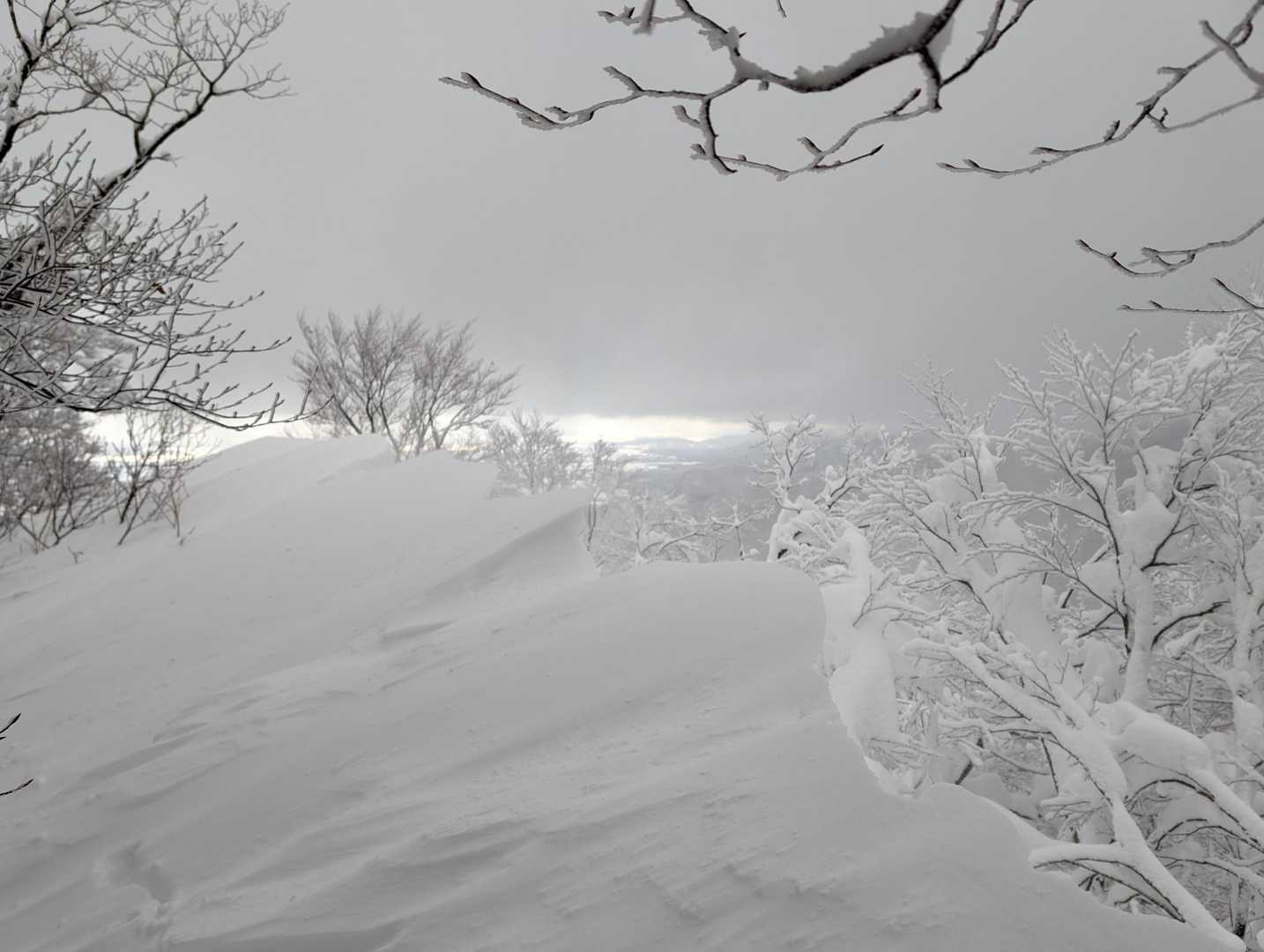白山 往復コースの写真