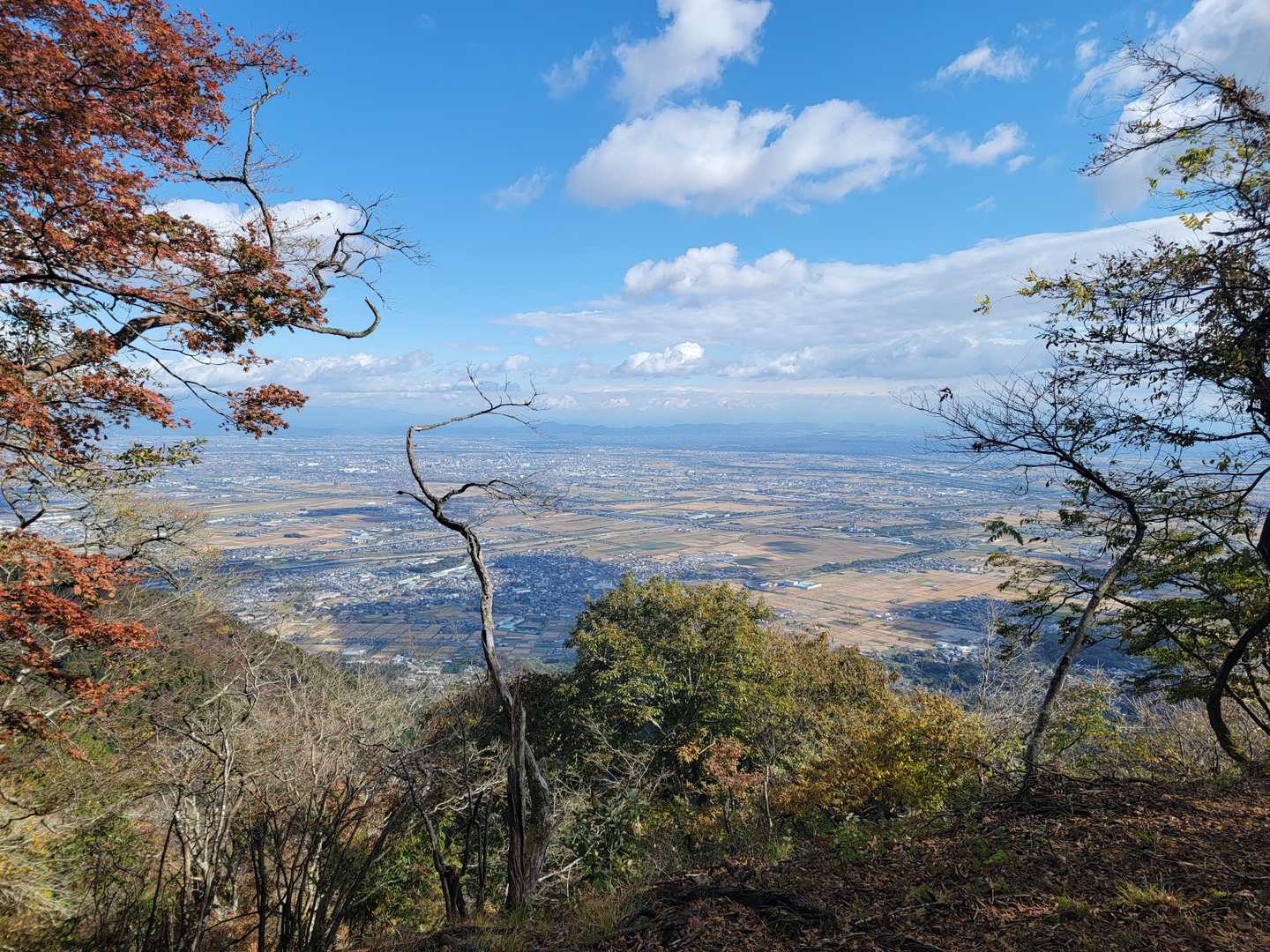 激下り中ですが絶景！
