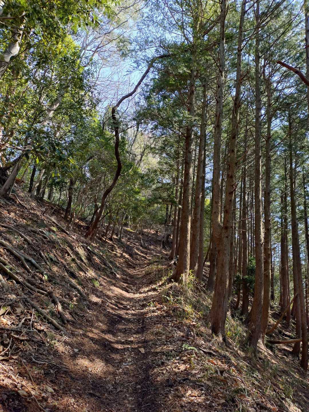 良き道を