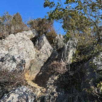 ちょっとだけ険しい所を降りる
ロープがあるので安心