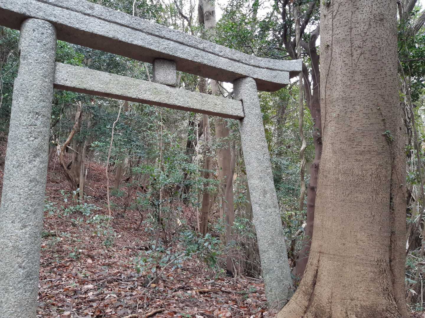 鳥居⛩️登場。