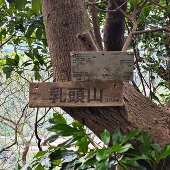 乳頭山頂です。あまりスペースはありませんが、眺望は良いです。