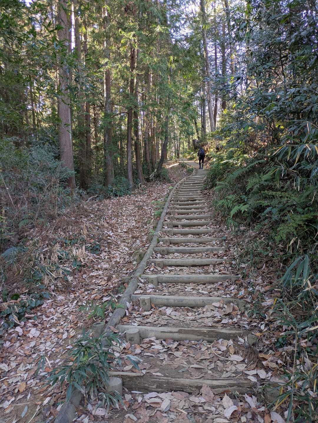 天覧山-多峯主山 周回コースの写真