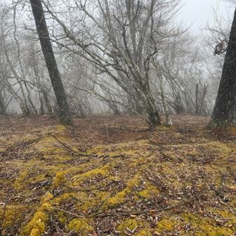 ここから一気に寒くなる