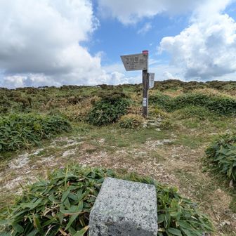 🙌✨
牛の背🐮
見た目、あまりに稜線が綺麗なもんだから舐めてたら、結構遠かった😅