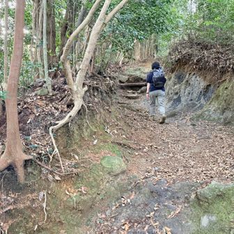 さて、見返り峠まで戻ってきて
黒髪山方面に向かいます