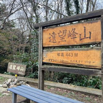 遠望峰山登りピークゲット！