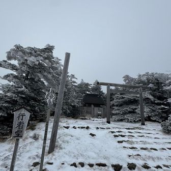 弥山神社⛩️