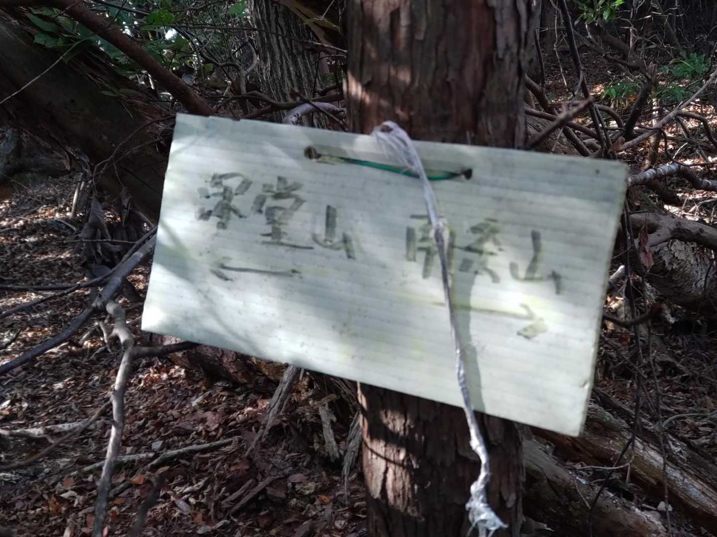 標識発見
この先で左折です