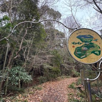 紀泉アルプス・飯盛山・ボンデン山 振り返って
銀の峰コース終了〜