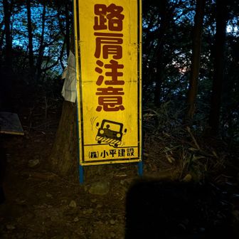 確かにこの辺車多そうだもんね